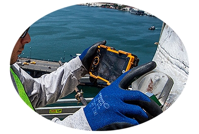 Polar International Marine & Cargo Survey Co.
