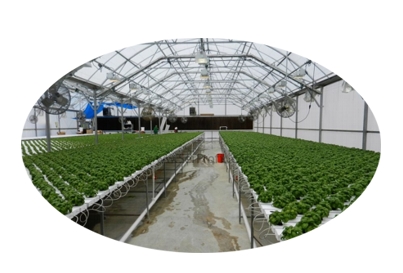 NETAFIM SULAMA SİSTEMLERİ TİCARET LTD.ŞTİ